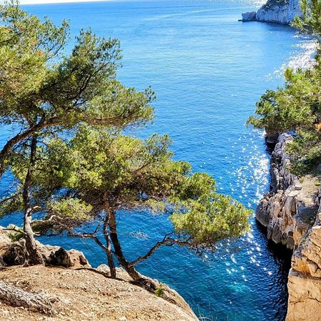 Le Paradis Bleu Calanque De Figuieres, Paddle Et Veranda Ensues-la-Redonne Eksteriør bilde